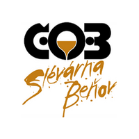Logo Slévárna Beňov s.r.o., IČO 26825350