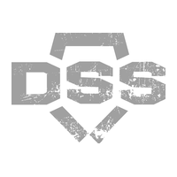 logo DSS Transportation a.s.