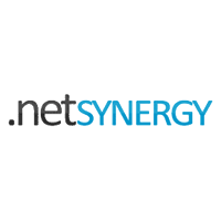 logo NetSynergy a.s.